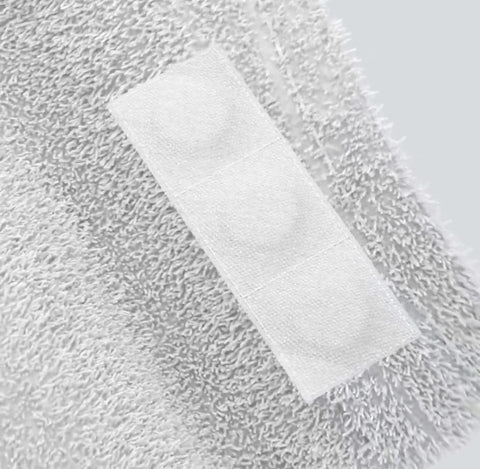 Project Milestone Notes